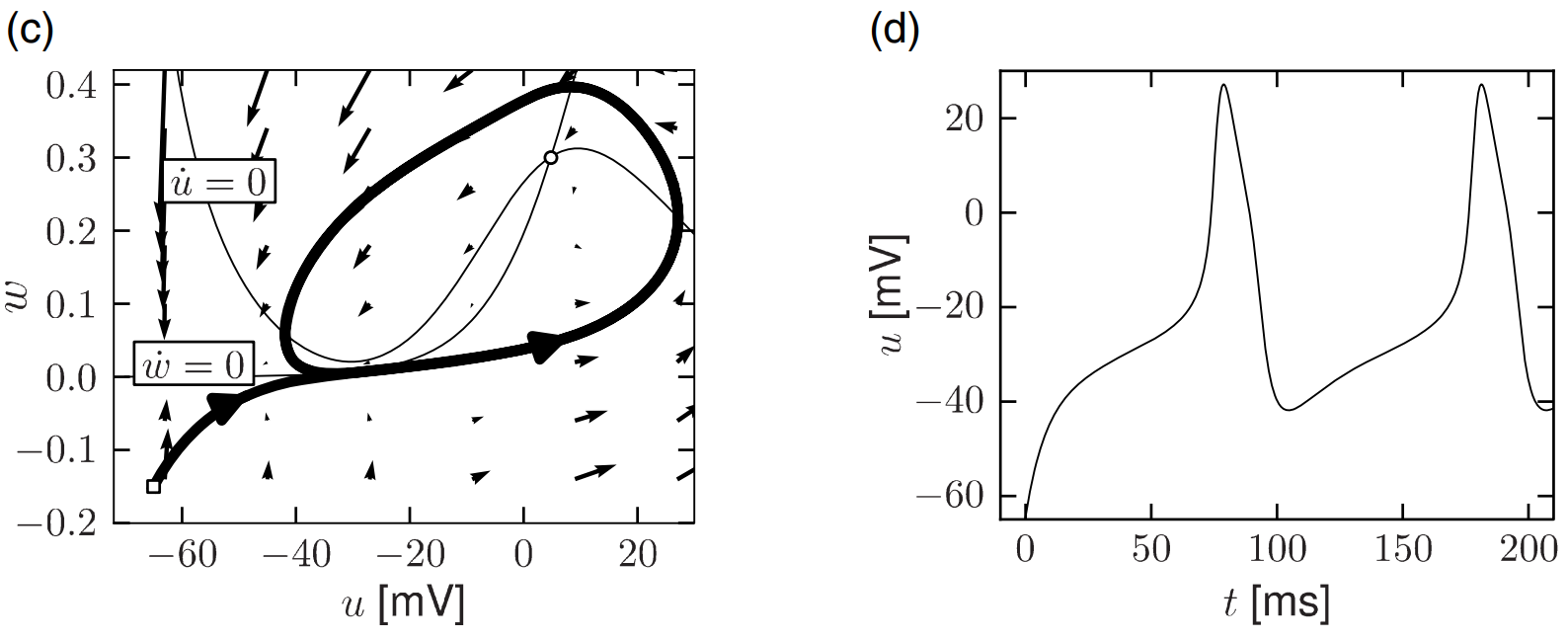 image-20250312153152079