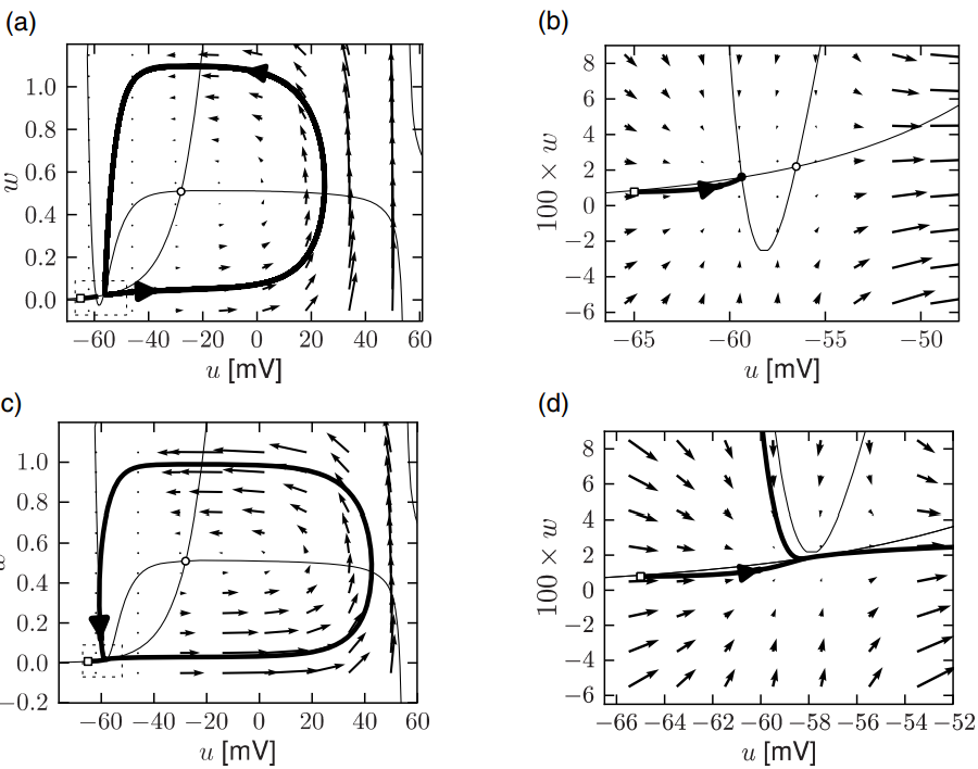 image-20250312163914736