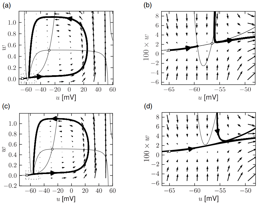 image-20250312170126631