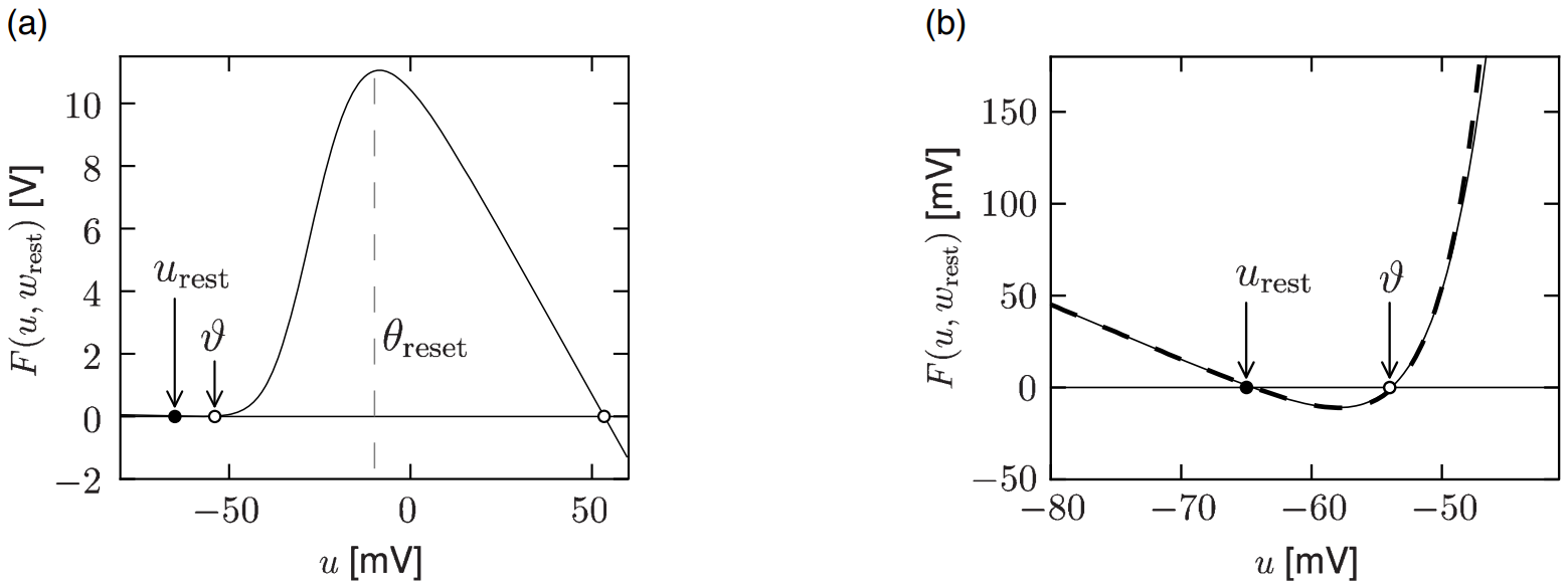 image-20250322081026231