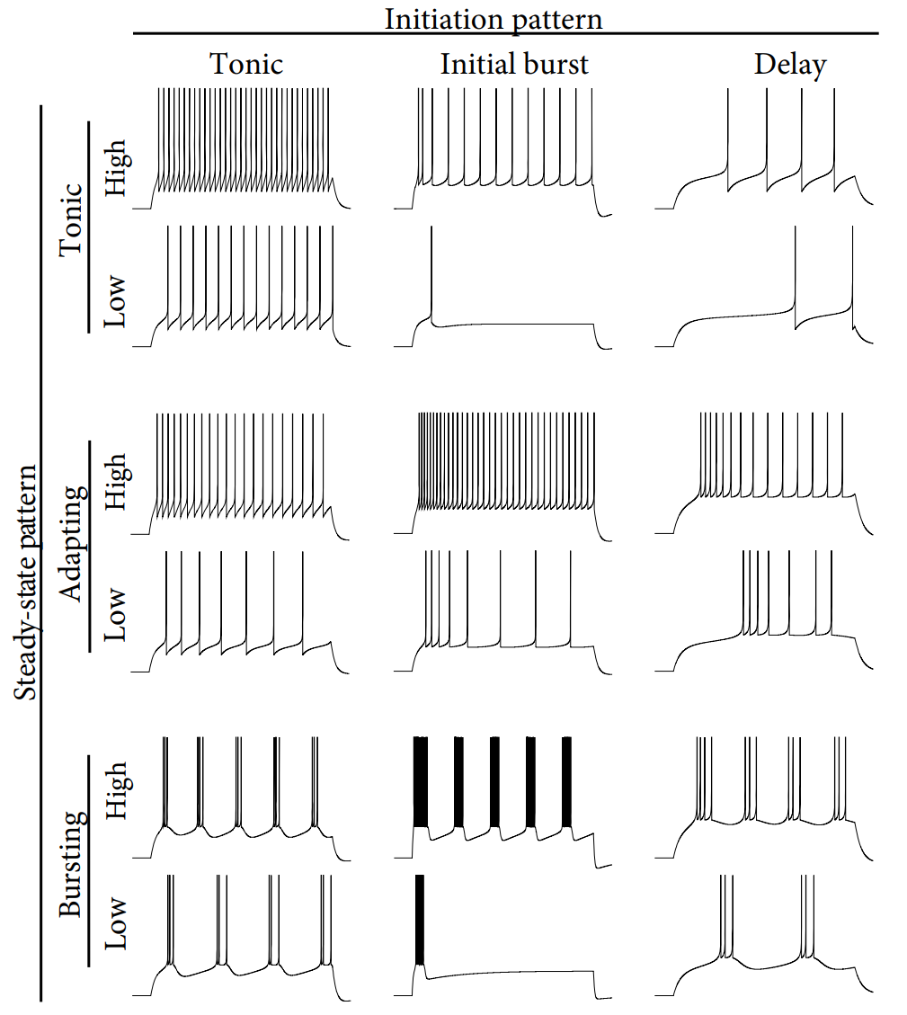 image-20250322154421912