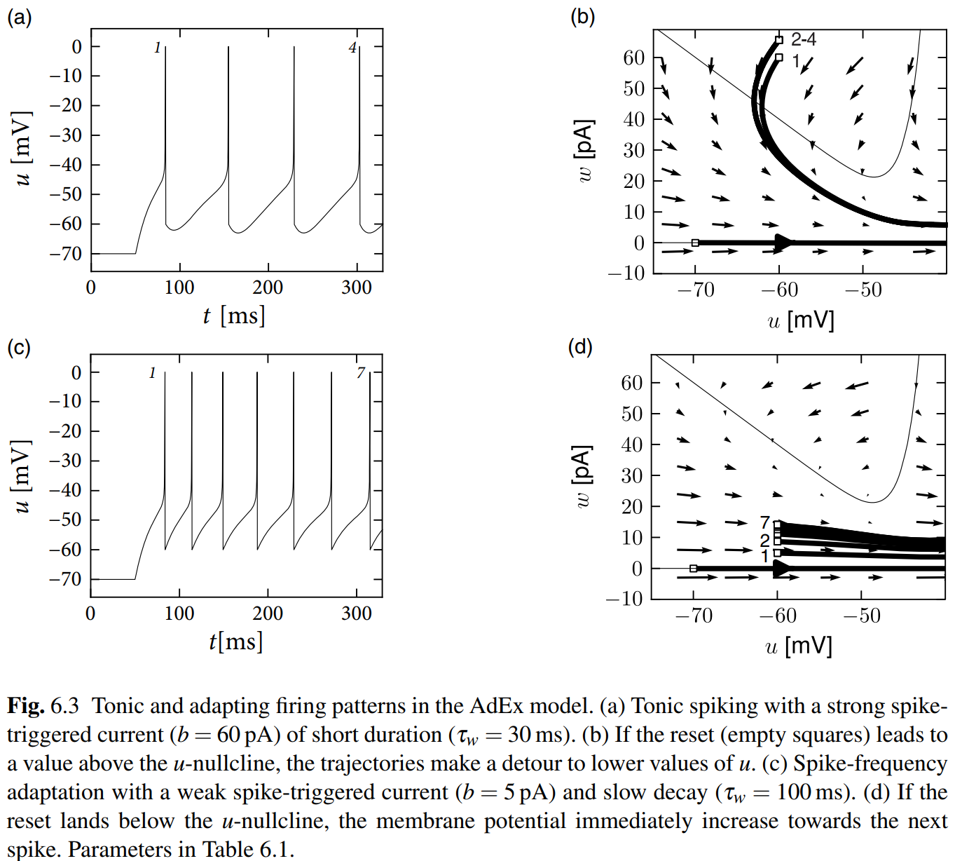 image-20250322171722923