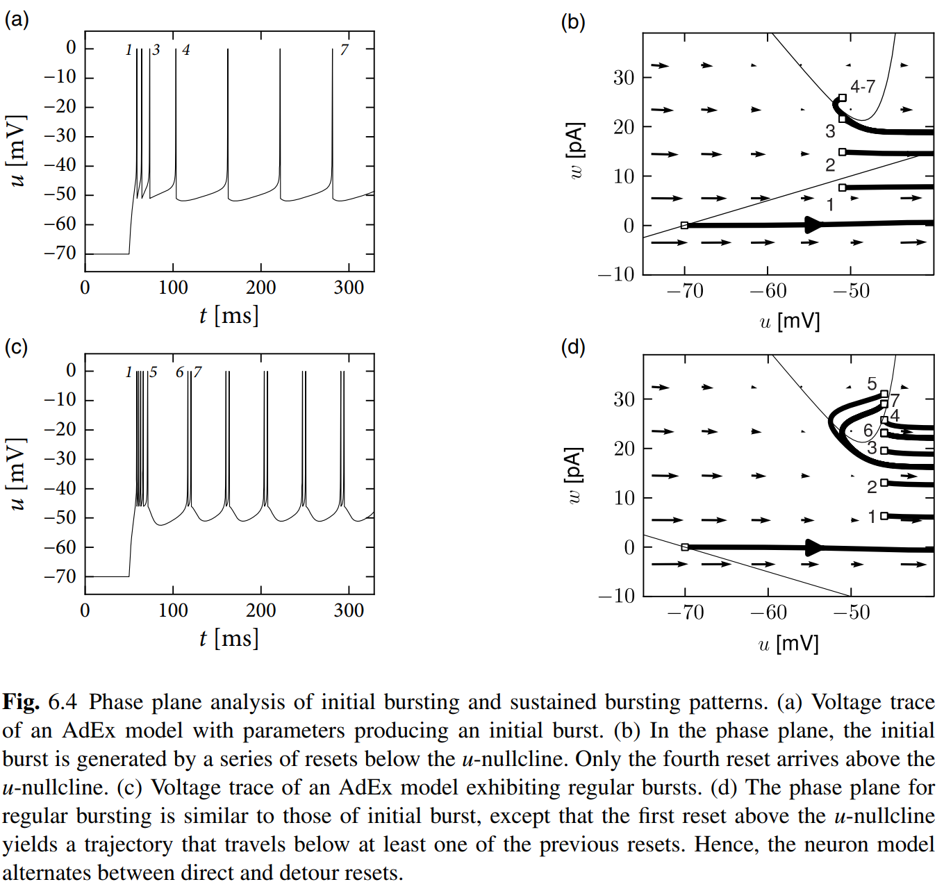 image-20250322171740504